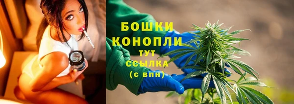 PSILOCYBIN Абаза