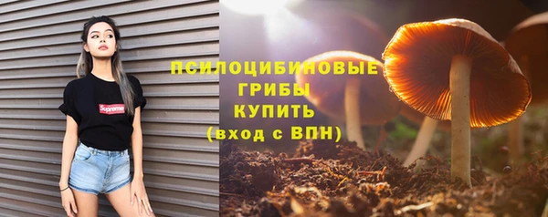 хмурый Абинск