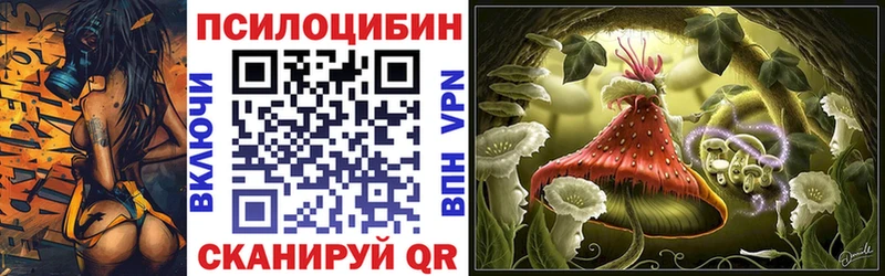 дарнет шоп Княгинино Галлюциногенные грибы прущие грибы